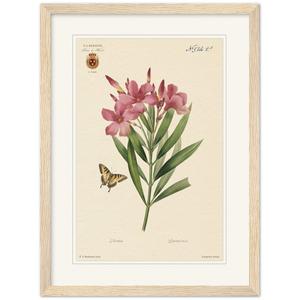 Pierre-Joseph Redouté, floral, flowers, art, wall art, flower prints, botanical, illustration, plants, roses