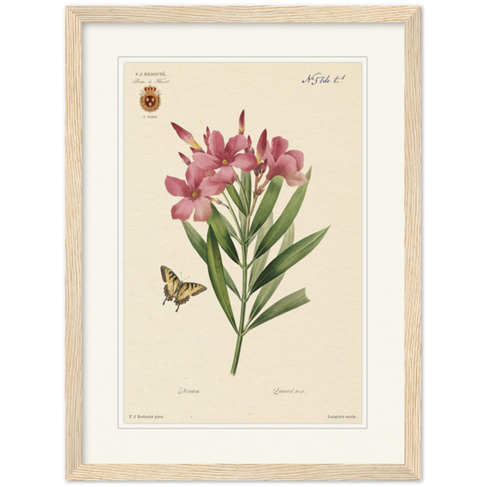 Pierre-Joseph Redouté, floral, flowers, art, wall art, flower prints, botanical, illustration, plants, roses