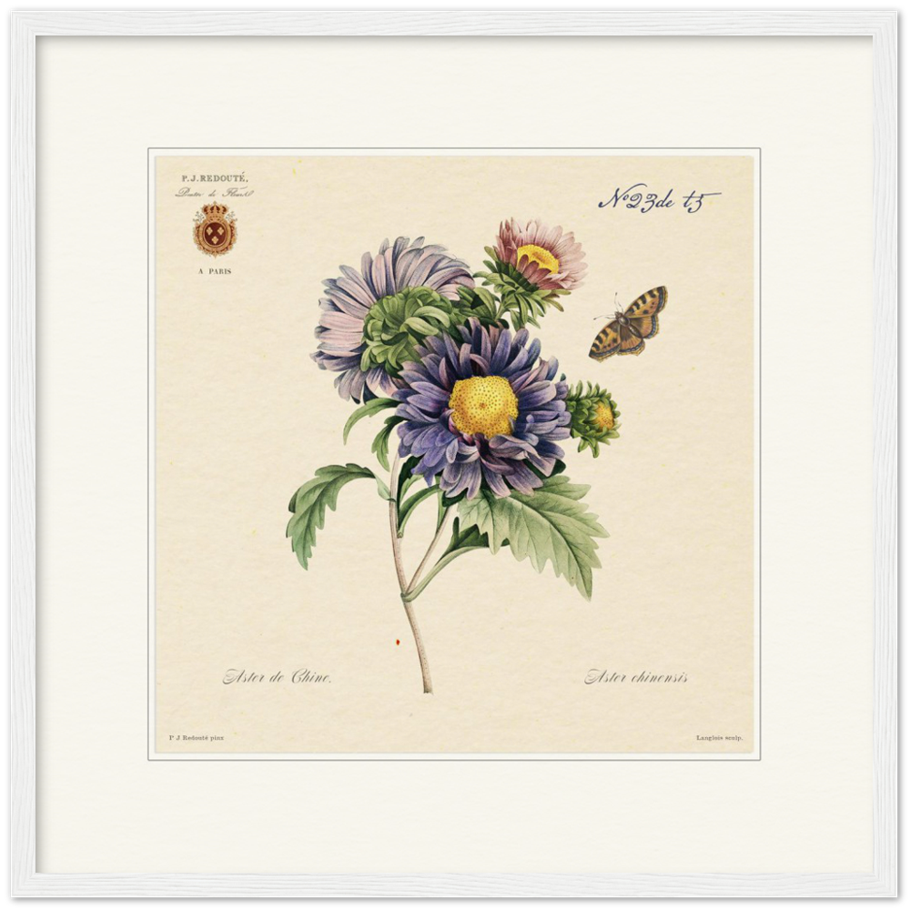 Pierre-Joseph Redouté, floral, flowers, art, wall art, flower prints, botanical, illustration, plants, roses