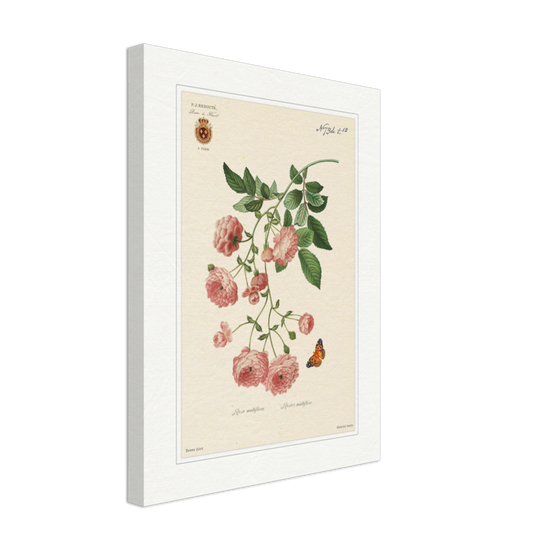 Pierre-Joseph Redouté, floral, flowers, art, wall art, flower prints, botanical, illustration, plants, roses