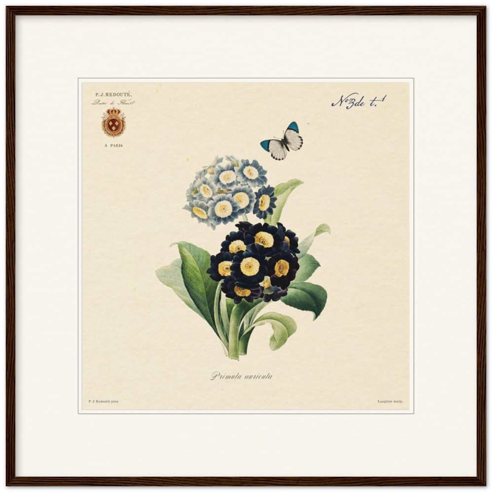 Pierre-Joseph Redouté, floral, flowers, art, wall art, flower prints, botanical, illustration, plants, roses