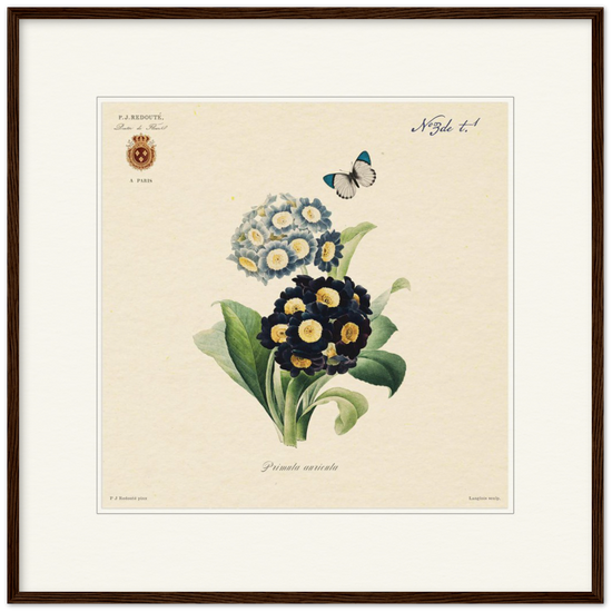 Pierre-Joseph Redouté, floral, flowers, art, wall art, flower prints, botanical, illustration, plants, roses