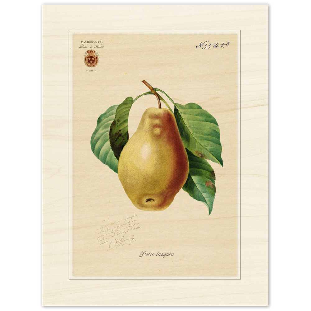 Tarquin Pear