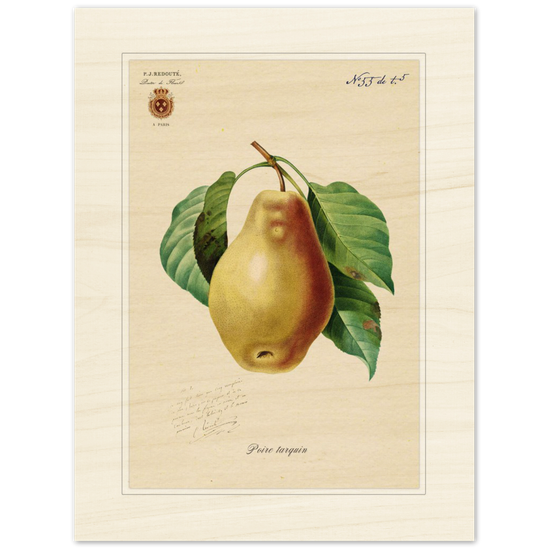Tarquin Pear