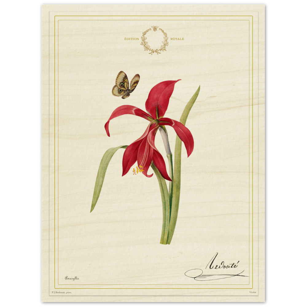 Pierre-Joseph Redouté, floral, flowers, art, wall art, flower prints, botanical, illustration, plants, roses