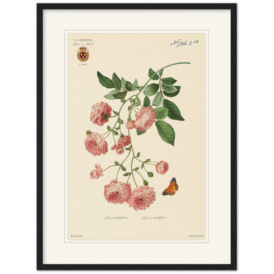 Pierre-Joseph Redouté, floral, flowers, art, wall art, flower prints, botanical, illustration, plants, roses