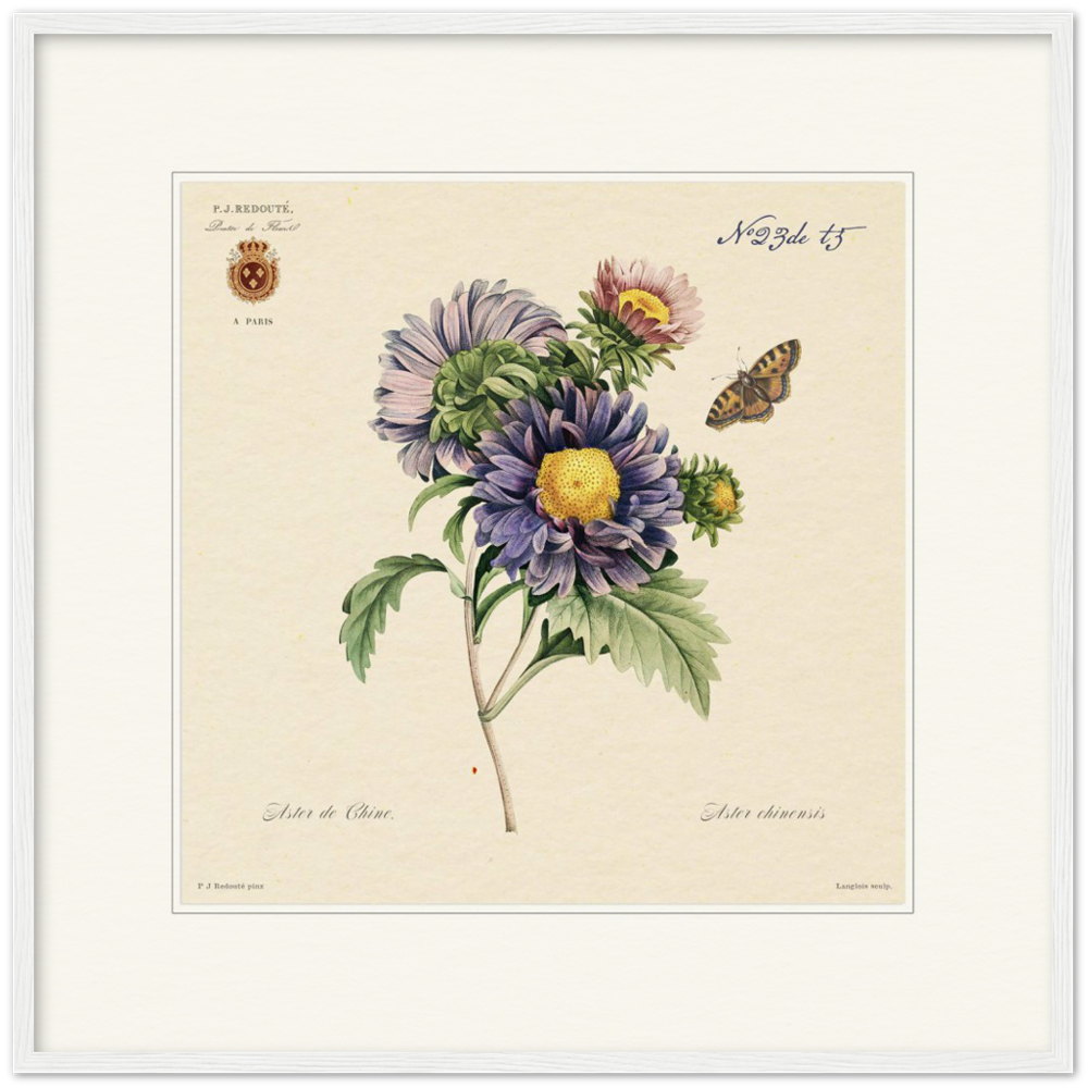 Pierre-Joseph Redouté, floral, flowers, art, wall art, flower prints, botanical, illustration, plants, roses