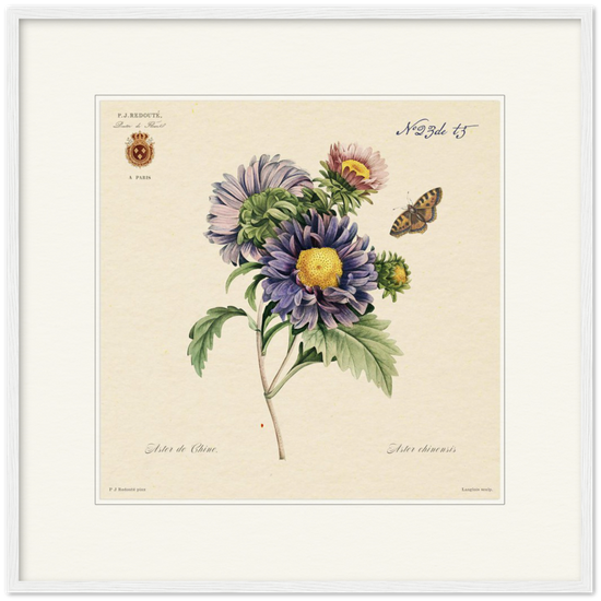 Pierre-Joseph Redouté, floral, flowers, art, wall art, flower prints, botanical, illustration, plants, roses