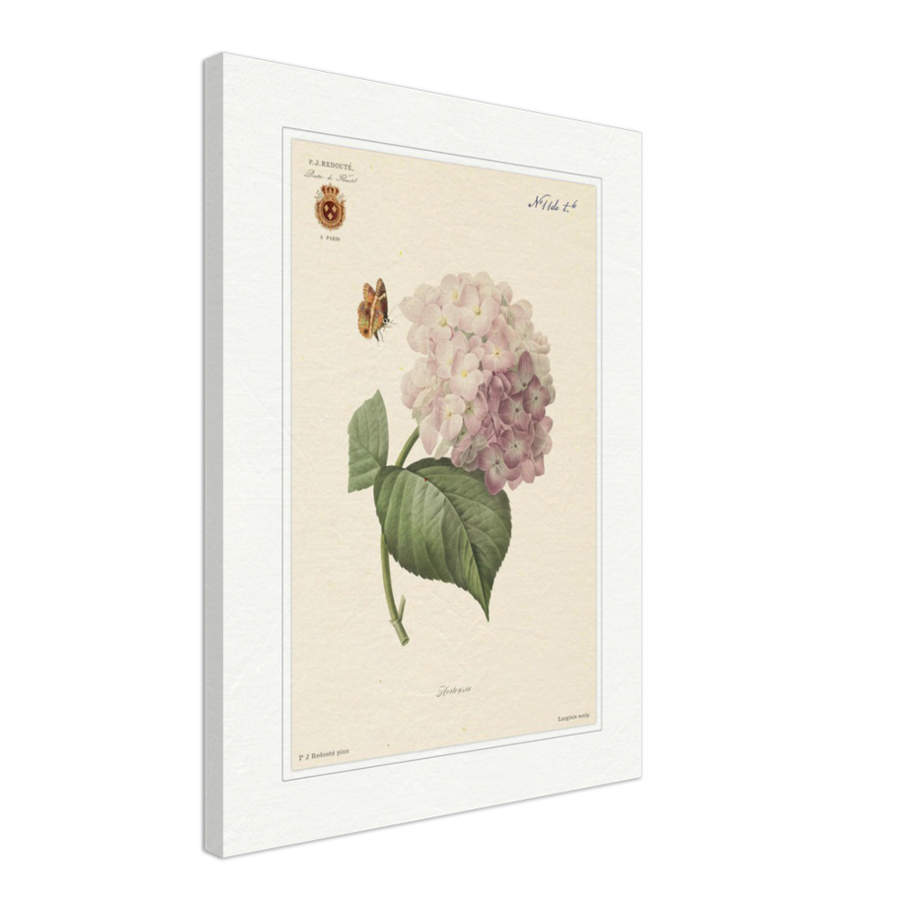 Pierre-Joseph Redouté, floral, flowers, art, wall art, flower prints, botanical, illustration, plants, roses