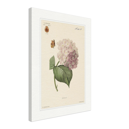 Pierre-Joseph Redouté, floral, flowers, art, wall art, flower prints, botanical, illustration, plants, roses