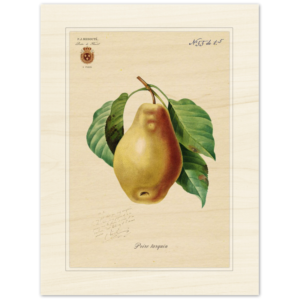Tarquin Pear