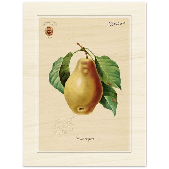 Tarquin Pear
