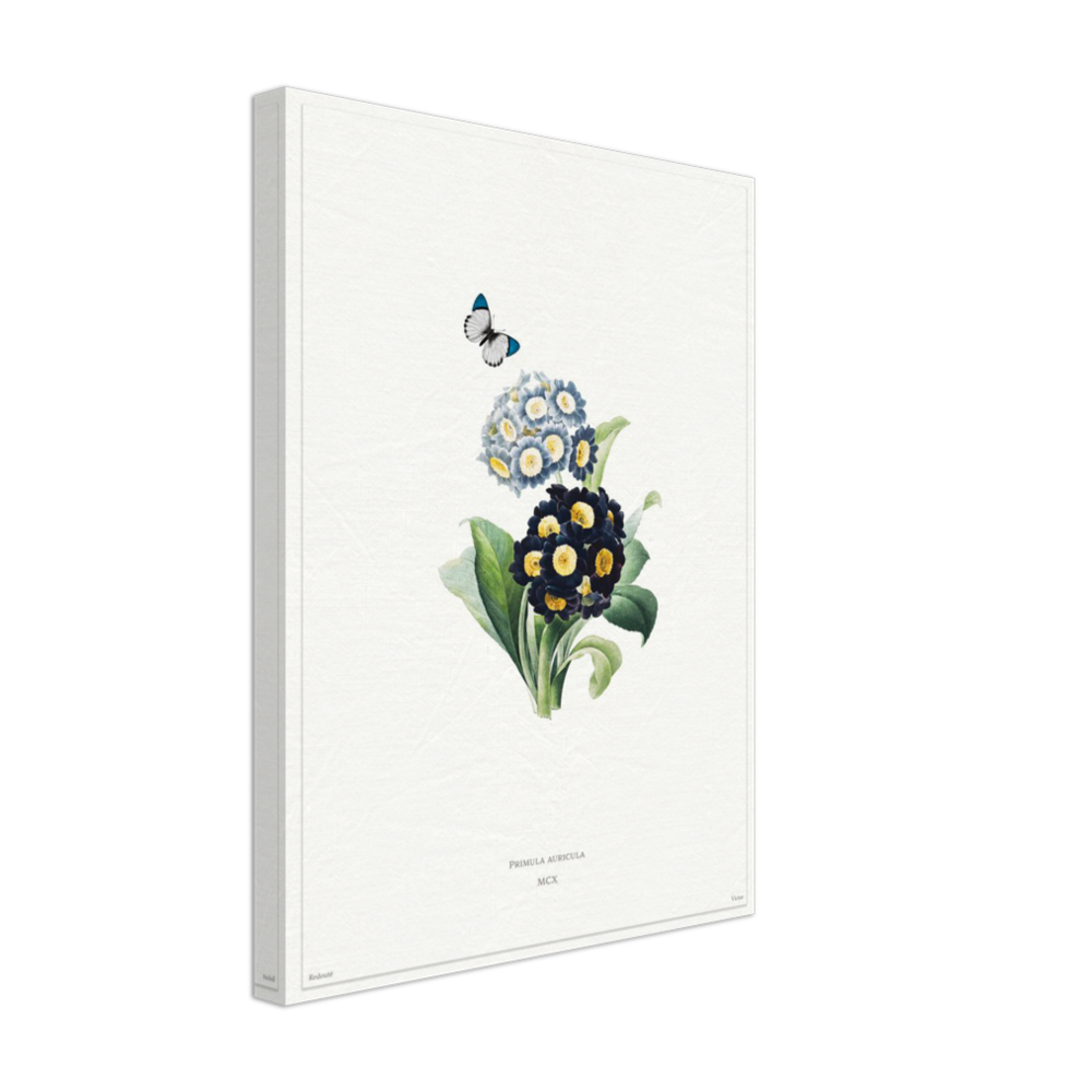 Pierre-Joseph Redouté, floral, flowers, art, wall art, flower prints, botanical, illustration, plants, roses