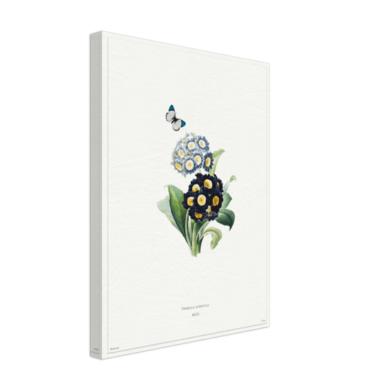 Pierre-Joseph Redouté, floral, flowers, art, wall art, flower prints, botanical, illustration, plants, roses