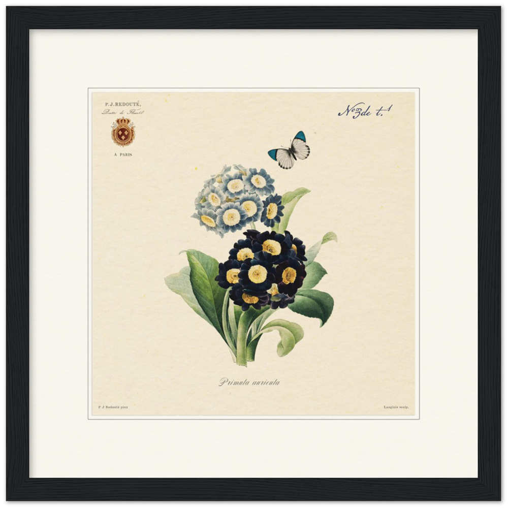 Pierre-Joseph Redouté, floral, flowers, art, wall art, flower prints, botanical, illustration, plants, roses