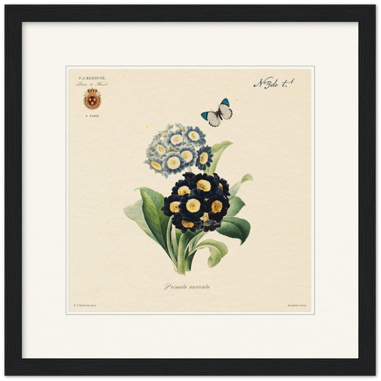 Pierre-Joseph Redouté, floral, flowers, art, wall art, flower prints, botanical, illustration, plants, roses