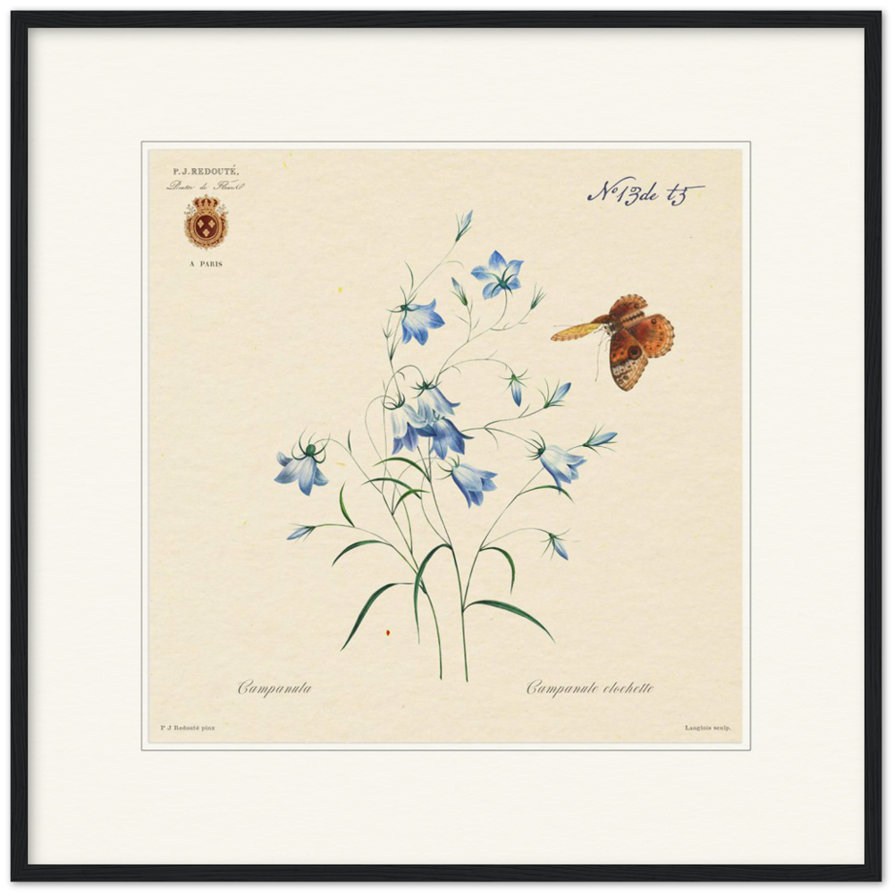 Pierre-Joseph Redouté, floral, flowers, art, wall art, flower prints, botanical, illustration, plants, roses