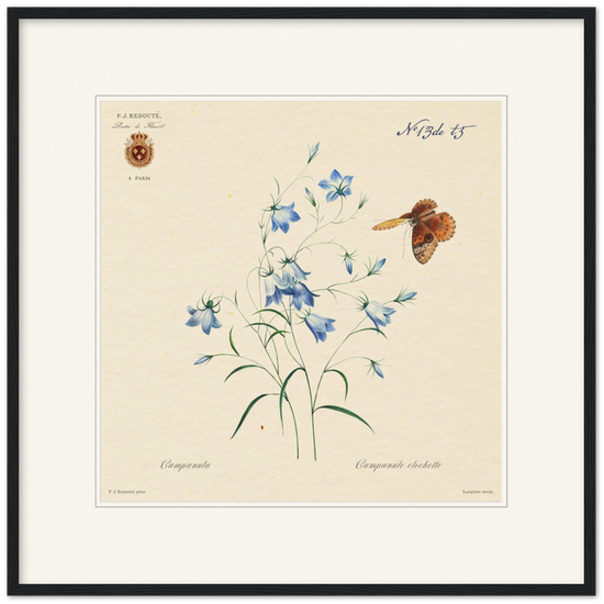 Pierre-Joseph Redouté, floral, flowers, art, wall art, flower prints, botanical, illustration, plants, roses