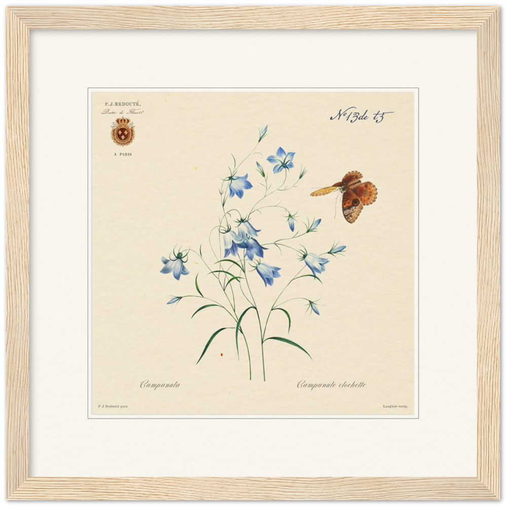 Pierre-Joseph Redouté, floral, flowers, art, wall art, flower prints, botanical, illustration, plants, roses