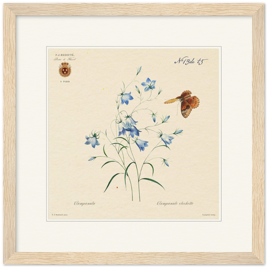 Pierre-Joseph Redouté, floral, flowers, art, wall art, flower prints, botanical, illustration, plants, roses