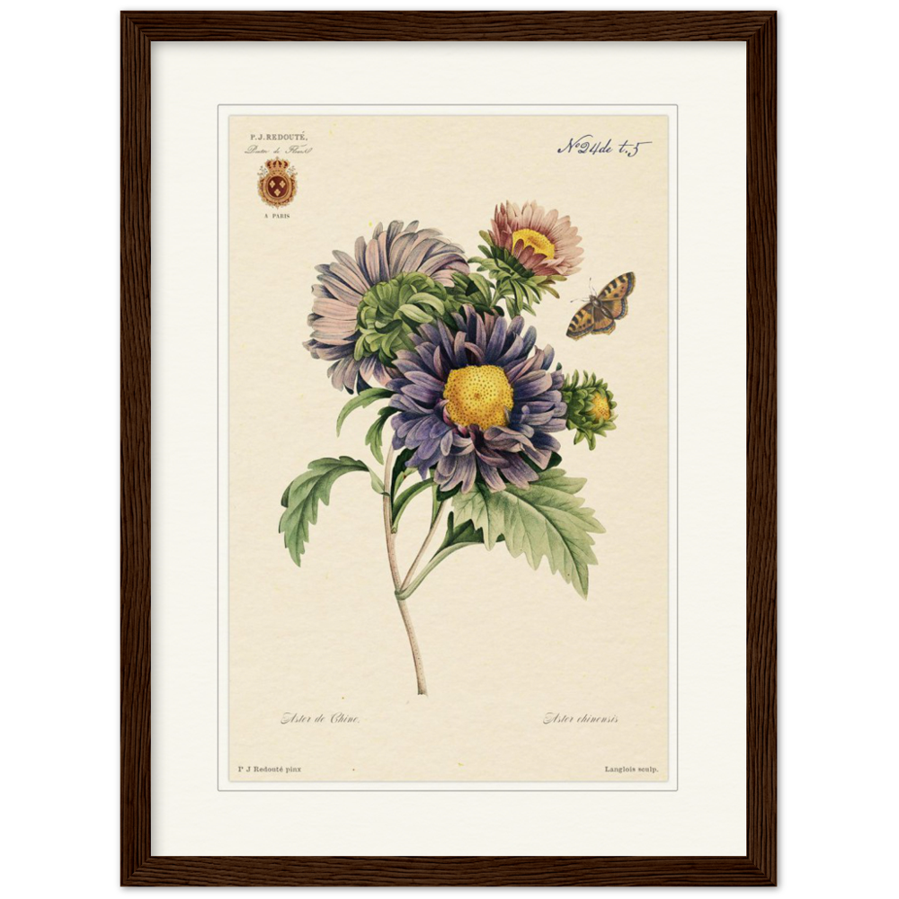 Pierre-Joseph Redouté, floral, flowers, art, wall art, flower prints, botanical, illustration, plants, roses