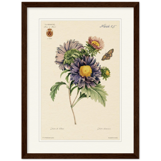 Pierre-Joseph Redouté, floral, flowers, art, wall art, flower prints, botanical, illustration, plants, roses