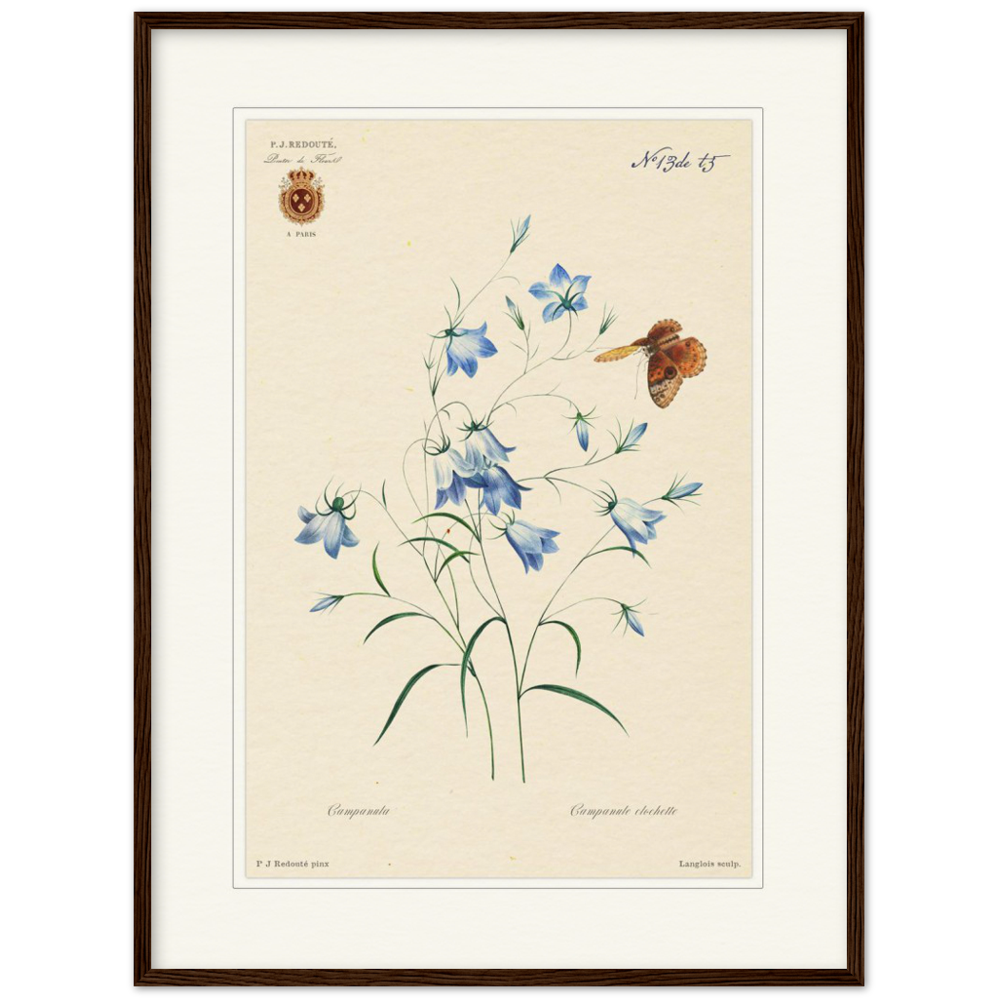 Pierre-Joseph Redouté, floral, flowers, art, wall art, flower prints, botanical, illustration, plants, roses