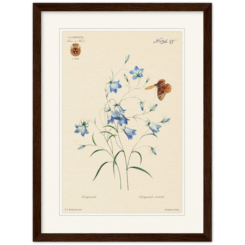 Pierre-Joseph Redouté, floral, flowers, art, wall art, flower prints, botanical, illustration, plants, roses