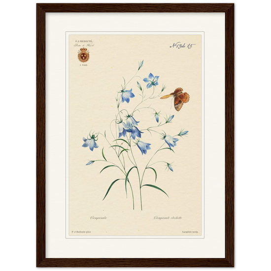Pierre-Joseph Redouté, floral, flowers, art, wall art, flower prints, botanical, illustration, plants, roses