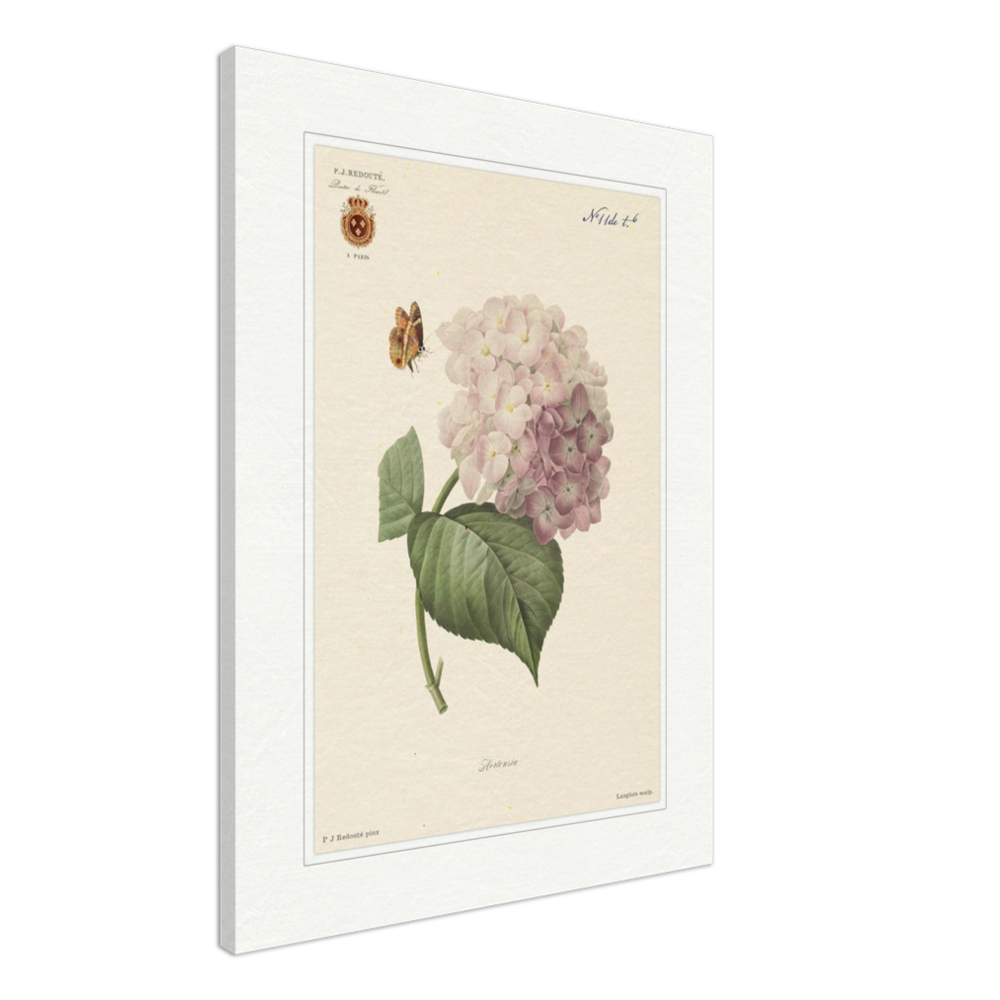 Pierre-Joseph Redouté, floral, flowers, art, wall art, flower prints, botanical, illustration, plants, roses