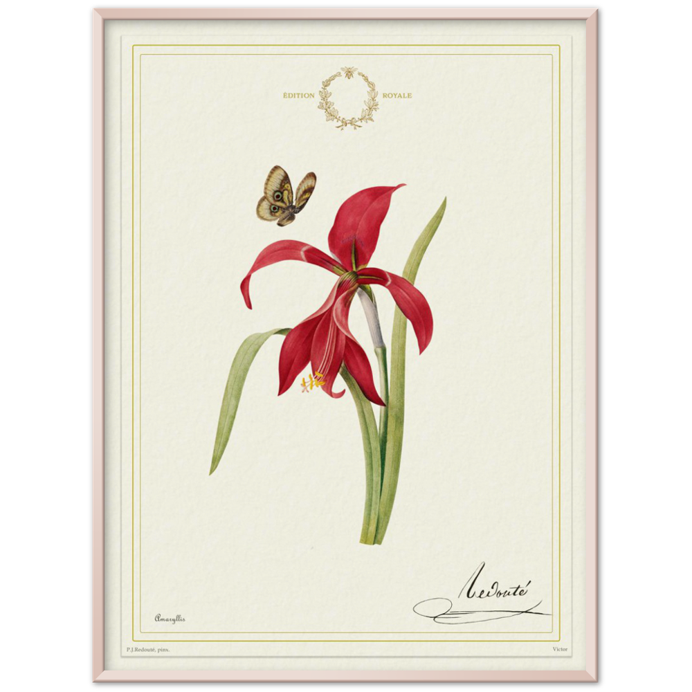 Pierre-Joseph Redouté, floral, flowers, art, wall art, flower prints, botanical, illustration, plants, roses