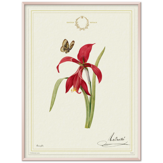 Pierre-Joseph Redouté, floral, flowers, art, wall art, flower prints, botanical, illustration, plants, roses