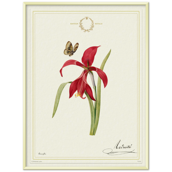Pierre-Joseph Redouté, floral, flowers, art, wall art, flower prints, botanical, illustration, plants, roses