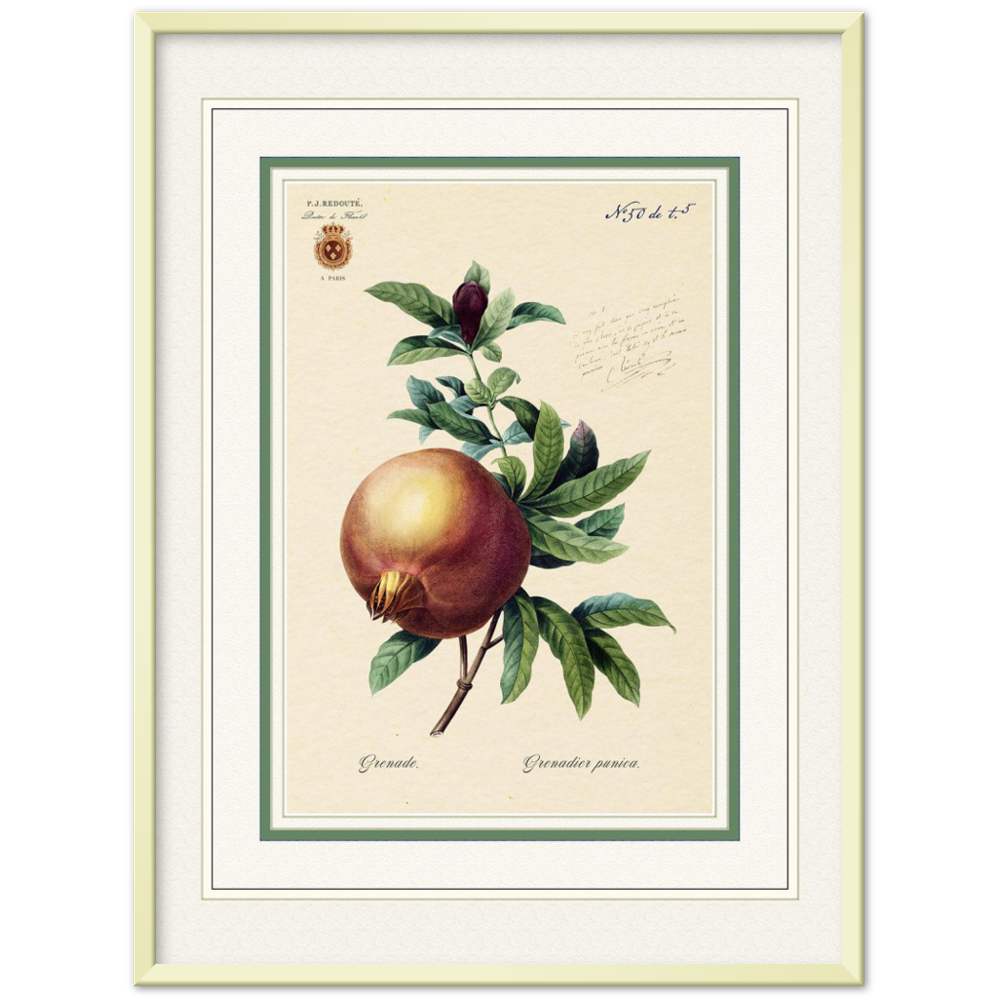 Pomegranate (mat and gold edition)