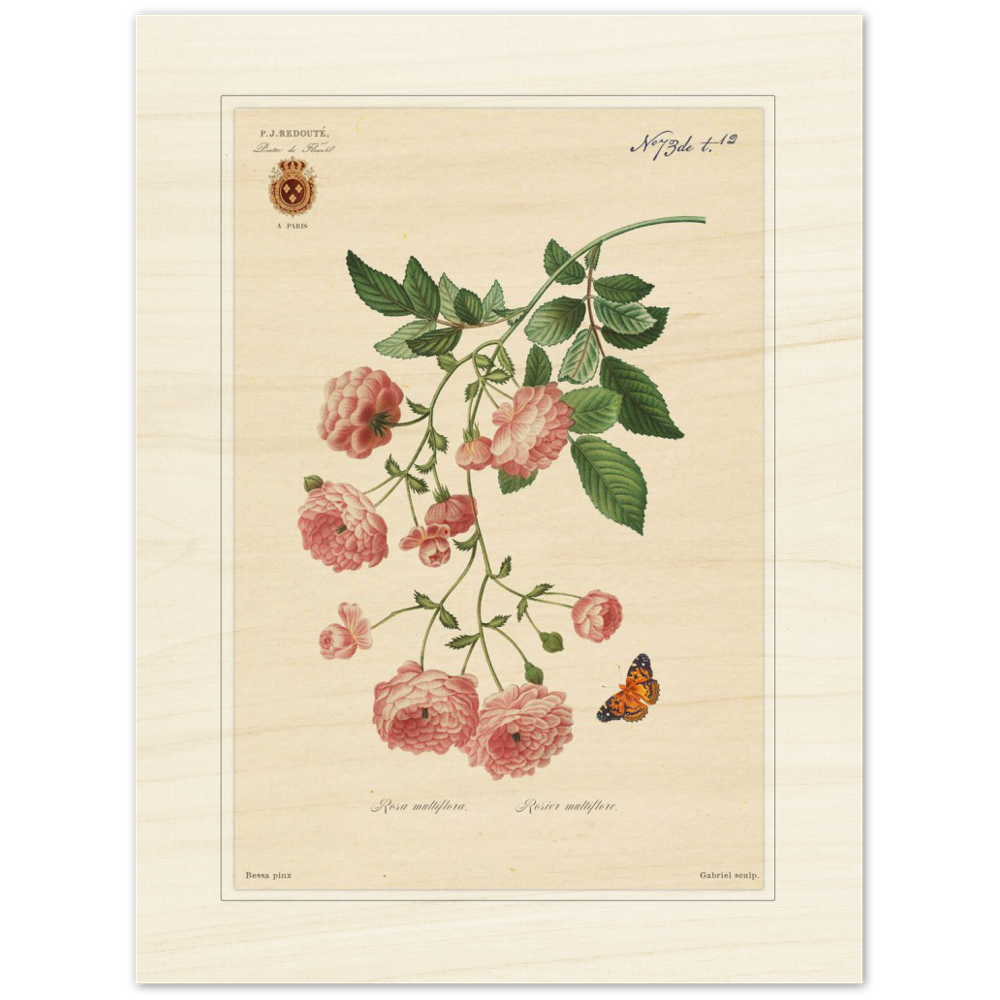 Pierre-Joseph Redouté, floral, flowers, art, wall art, flower prints, botanical, illustration, plants, roses