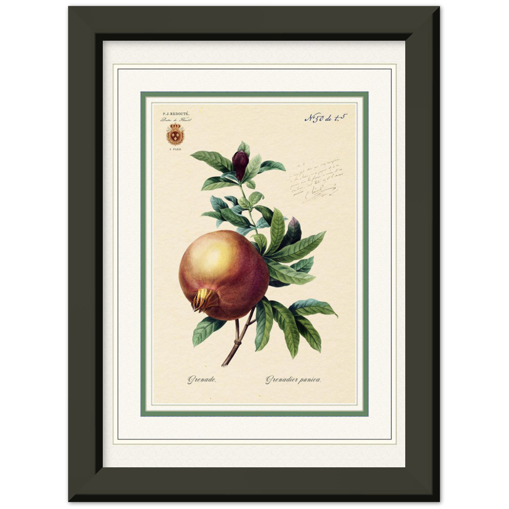 Pomegranate (mat and gold edition)