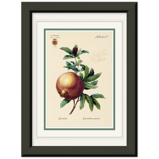 Pomegranate (mat and gold edition)