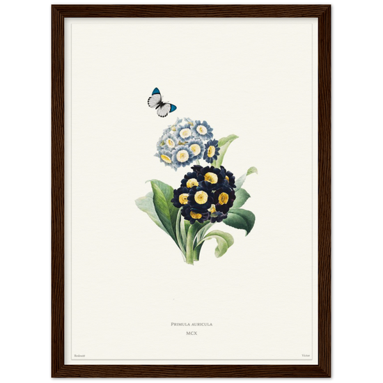 Pierre-Joseph Redouté, floral, flowers, art, wall art, flower prints, botanical, illustration, plants, roses