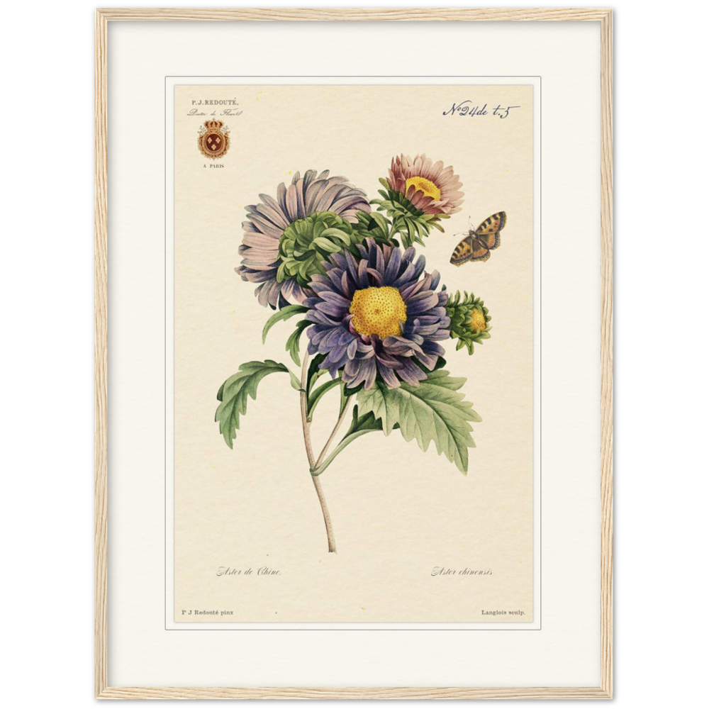 Pierre-Joseph Redouté, floral, flowers, art, wall art, flower prints, botanical, illustration, plants, roses