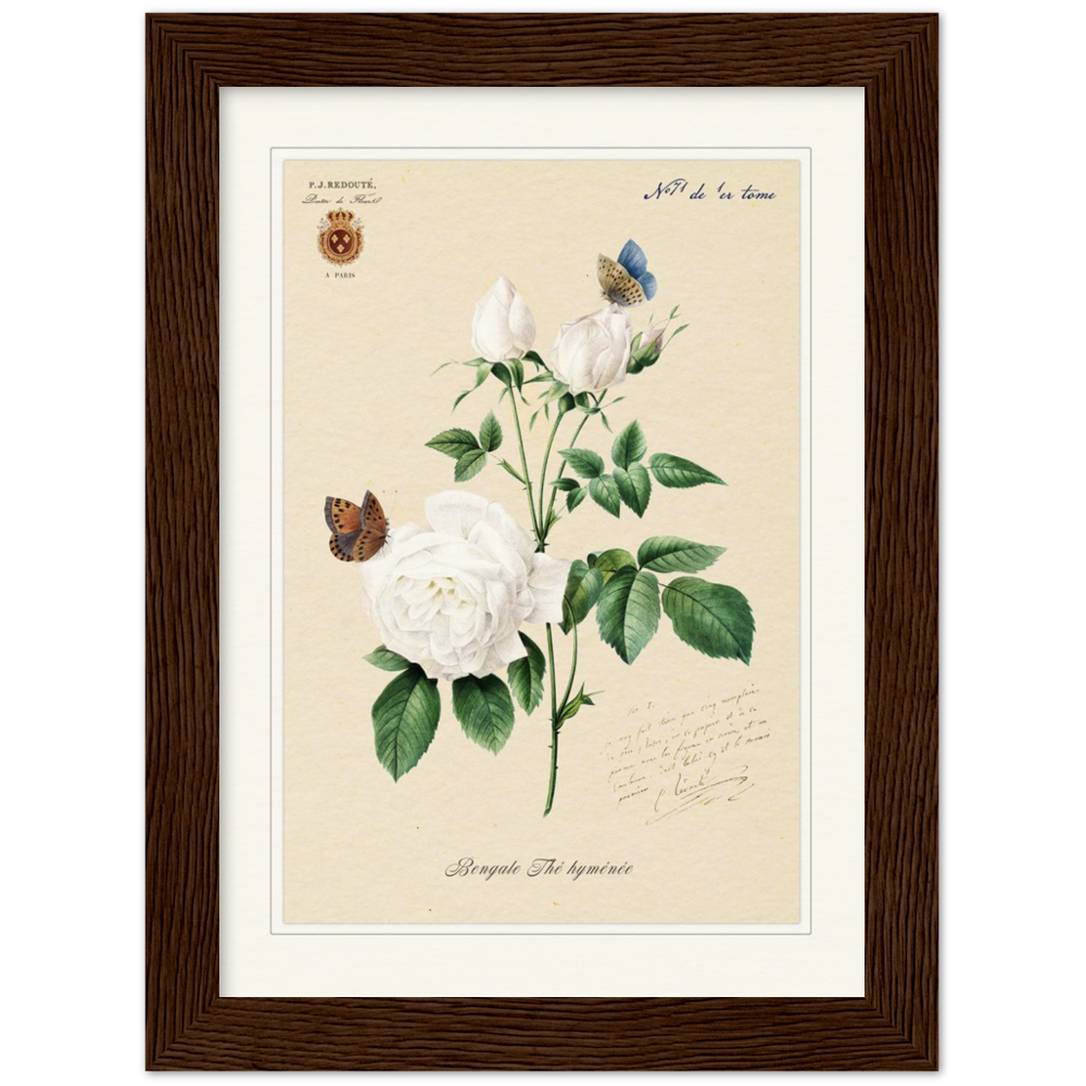 Pierre-Joseph Redouté, floral, flowers, art, wall art, flower prints, botanical, illustration, plants, roses