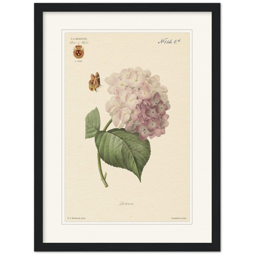 Pierre-Joseph Redouté, floral, flowers, art, wall art, flower prints, botanical, illustration, plants, roses