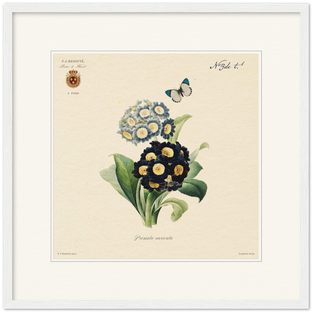 Pierre-Joseph Redouté, floral, flowers, art, wall art, flower prints, botanical, illustration, plants, roses