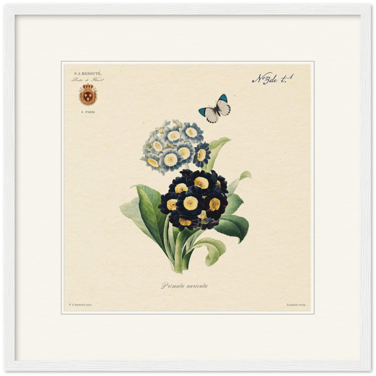 Pierre-Joseph Redouté, floral, flowers, art, wall art, flower prints, botanical, illustration, plants, roses