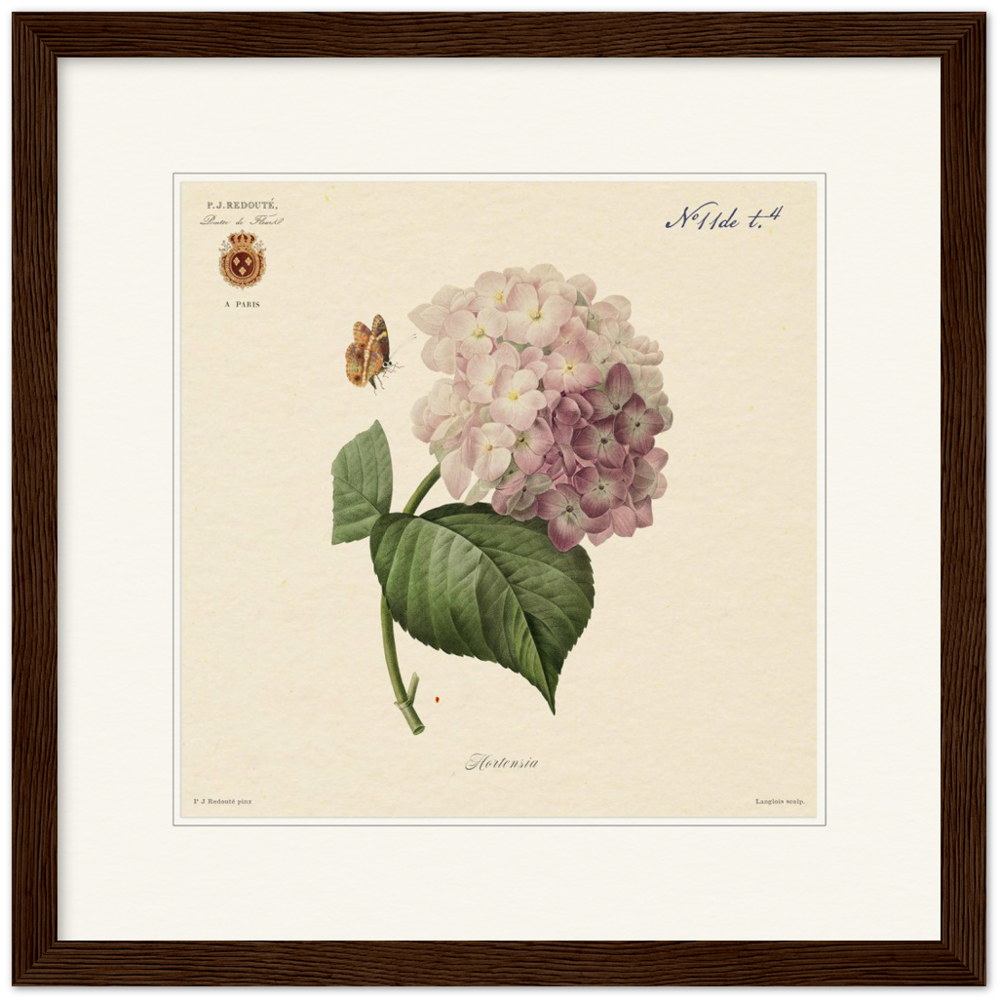 Pierre-Joseph Redouté, floral, flowers, art, wall art, flower prints, botanical, illustration, plants, roses