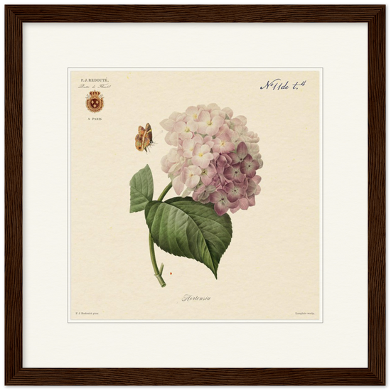 Pierre-Joseph Redouté, floral, flowers, art, wall art, flower prints, botanical, illustration, plants, roses
