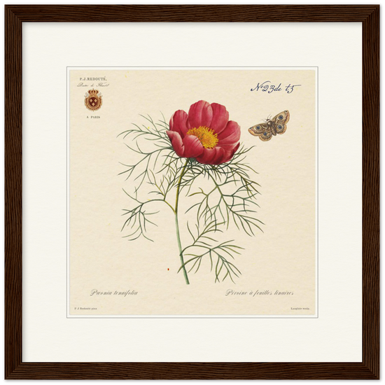 Pierre-Joseph Redouté, floral, flowers, art, wall art, flower prints, botanical, illustration, plants, roses