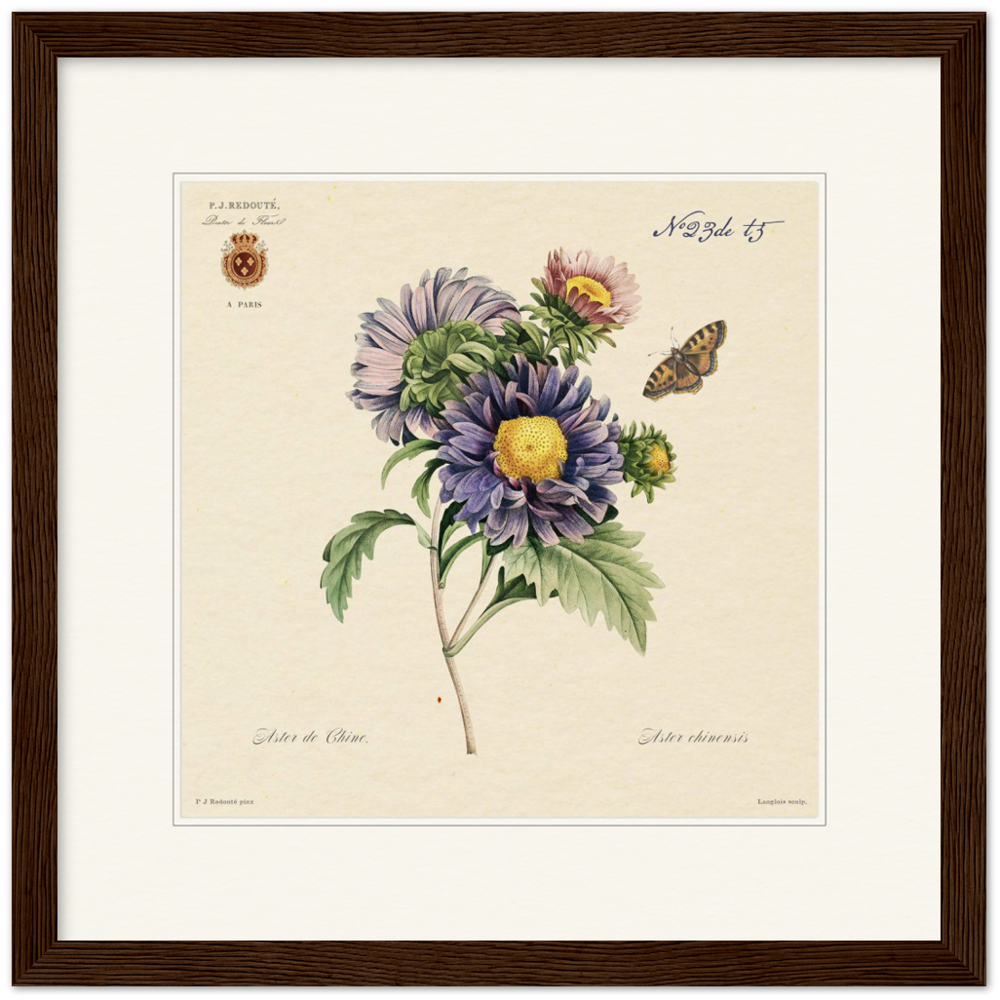 Pierre-Joseph Redouté, floral, flowers, art, wall art, flower prints, botanical, illustration, plants, roses