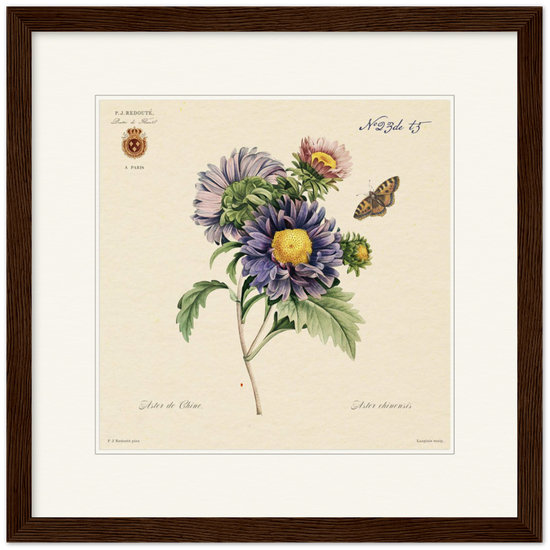 Pierre-Joseph Redouté, floral, flowers, art, wall art, flower prints, botanical, illustration, plants, roses