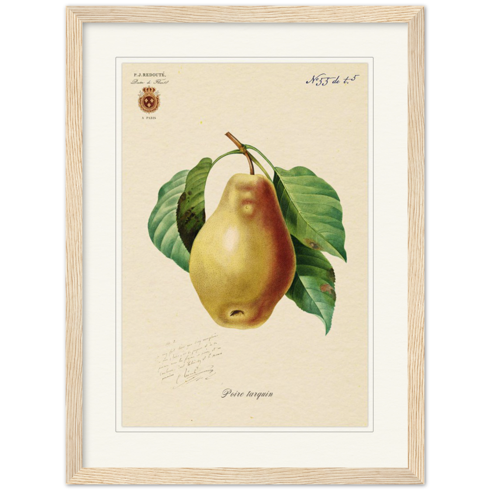 Tarquin Pear