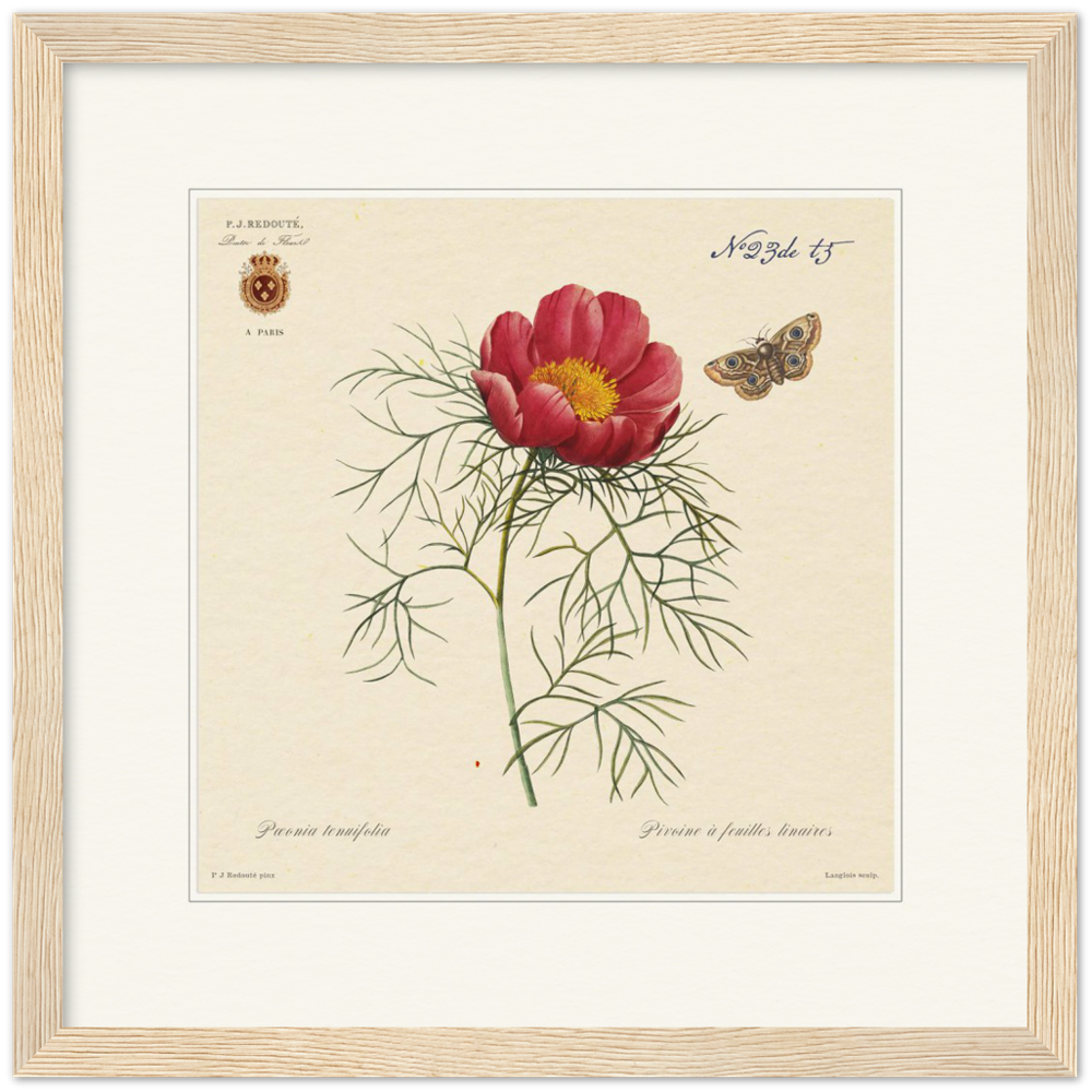 Pierre-Joseph Redouté, floral, flowers, art, wall art, flower prints, botanical, illustration, plants, roses